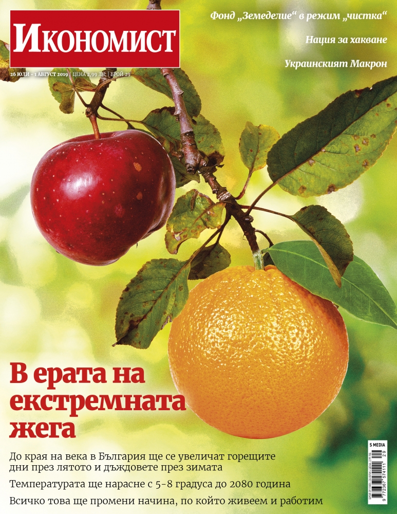 Брой 29
