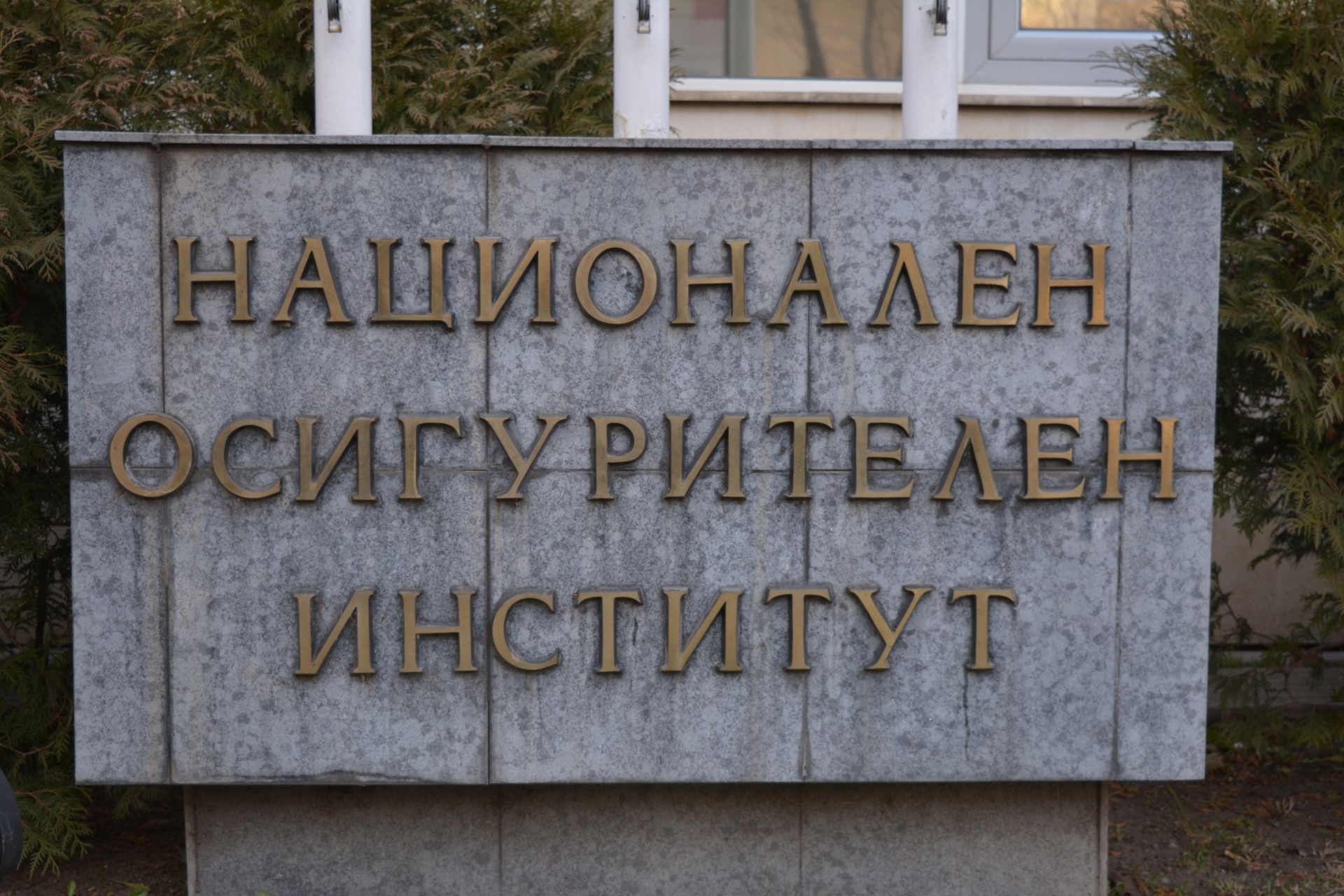 Средният осигурителен доход за май е 884,18 лева