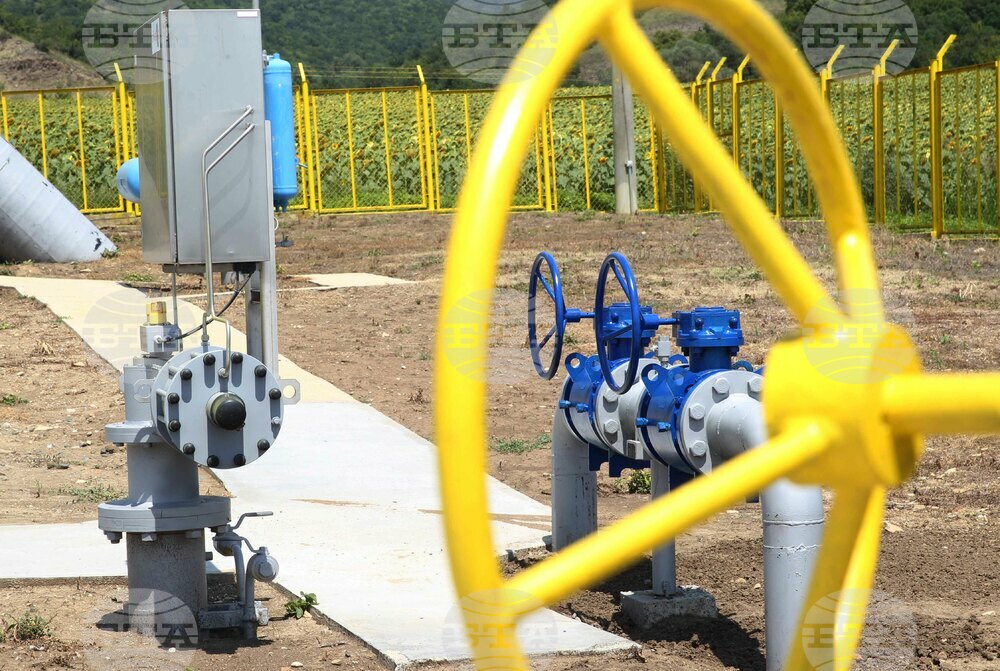 Търсенето на природен газ ще се увеличи с 2,5% през 2024 г.