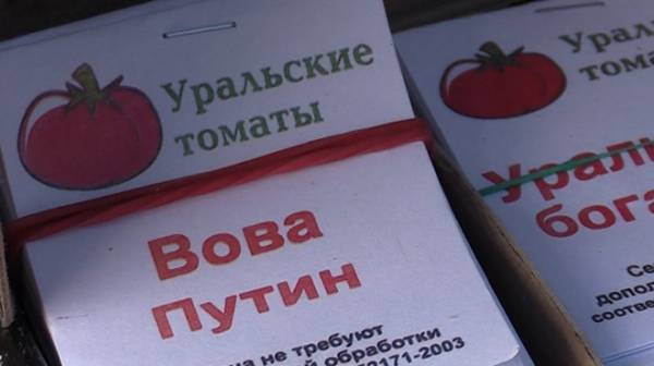 Расте търсенето на доматите, кръстени на Путин