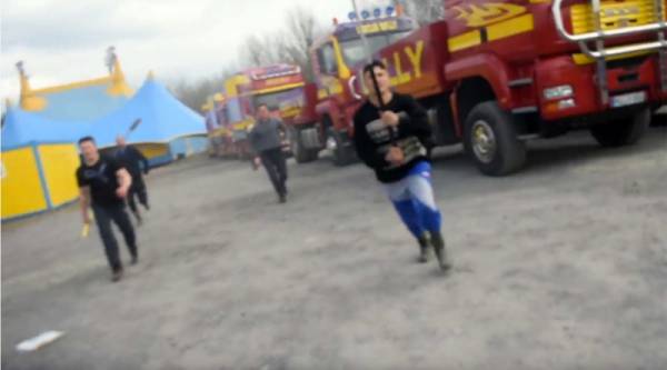 Циркови служители пребиха природозащитници и полицаи в Ирландия