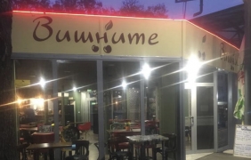 Хармония с цвят на вишна