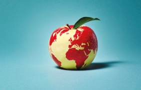Sustainability КОМПАС