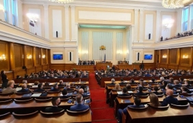 Парламентът замрази цените на ток, вода и парно