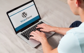 WordPress е най-използваната система за правене на сайтове 