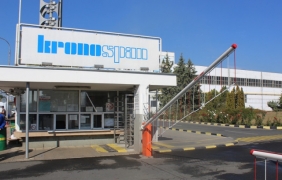 Ключови заводи в дървопреработващия сектор спират работа заради високите цени на дървесината