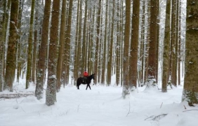 Прогноза за времето