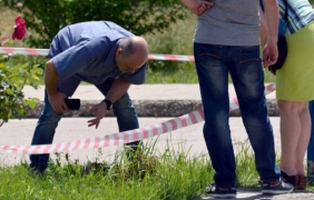 Кучета разнасят части от човешки труп в Девня