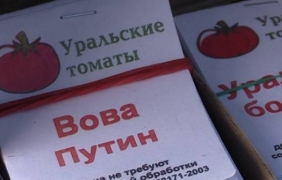 Расте търсенето на доматите, кръстени на Путин