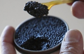 Италианска фирма замаскира хайвера си като „руски продукт“