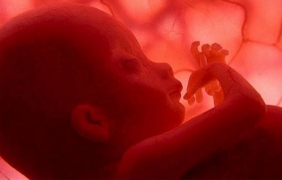 Учени защитиха генното модифициране на човешки ембриони