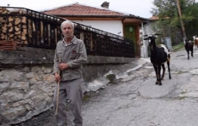 Нападнатият от мечка мъж още не може да повярва, че е жив