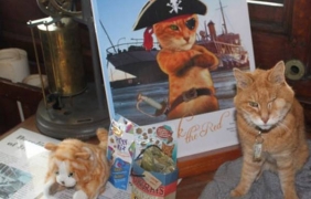 Едноок котарак-офицер получи тържество по повод пенсионирането си