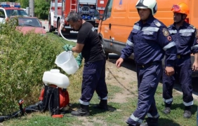 Огнище на антракс пламна в балчишкото село Оброчище