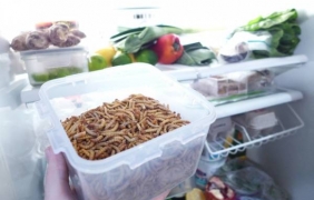 Ларви и червеи в менюто: Новата кулинарна революция