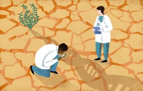 Как се отглеждат посеви без никаква вода?