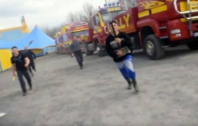 Циркови служители пребиха природозащитници и полицаи в Ирландия