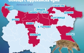Как се разви болестта?
